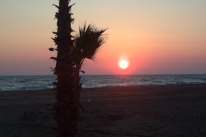 Torre Flavia